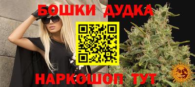 тгк Тула
