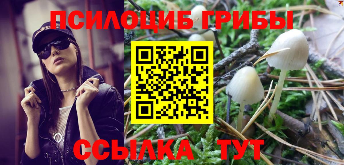 Среднеуральск  Галлюциногенные грибы MAGIC MUSHROOMS  Вход с VPN 